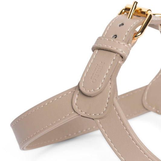 Arnés Beige